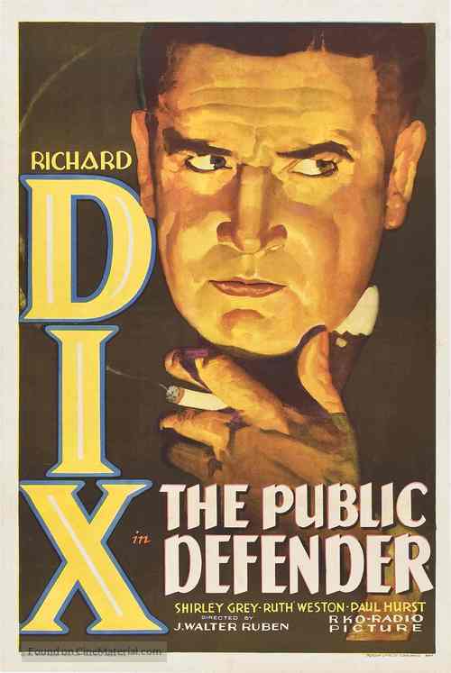 The Public Defender - Movie Poster