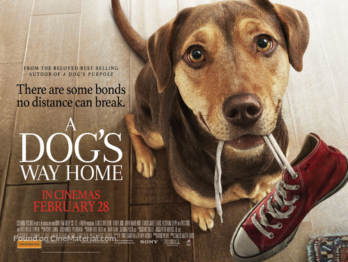 A Dog&#039;s Way Home - Australian Movie Poster
