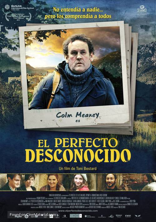 El perfecto desconocido - Spanish Movie Poster