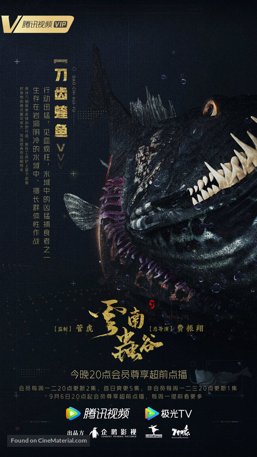 &quot;Candle in the Tomb: The Worm Valley&quot; - Chinese Movie Poster