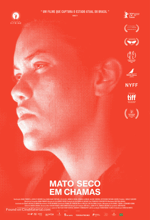 Mato seco em chamas - Brazilian Movie Poster