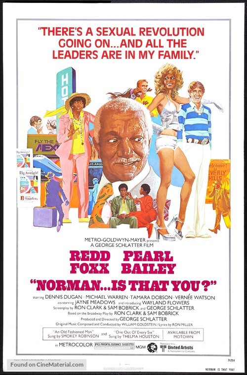 Norman... Is That You? - Movie Poster