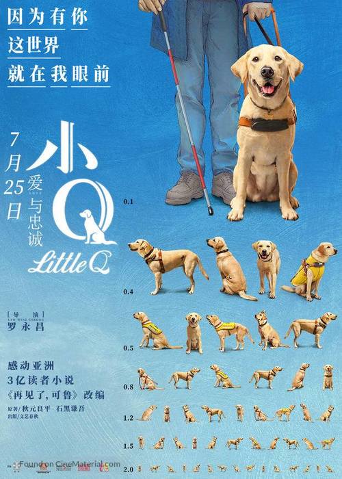 Little Q - Hong Kong Movie Poster