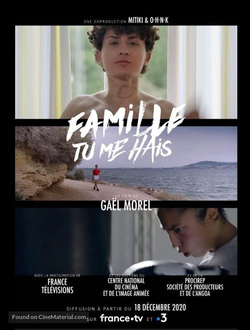 Famille tu me hais - French Movie Poster