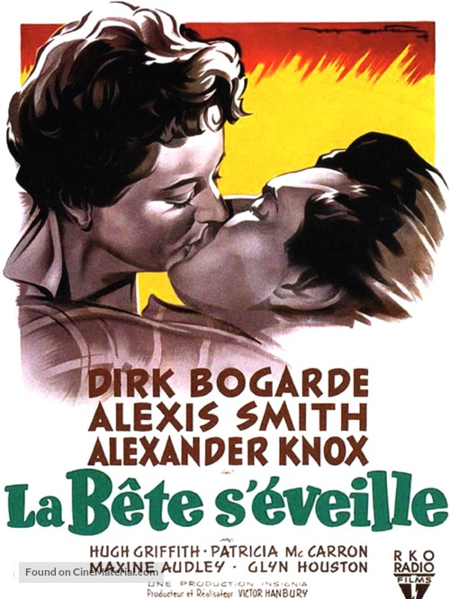 The Sleeping Tiger - French Movie Poster