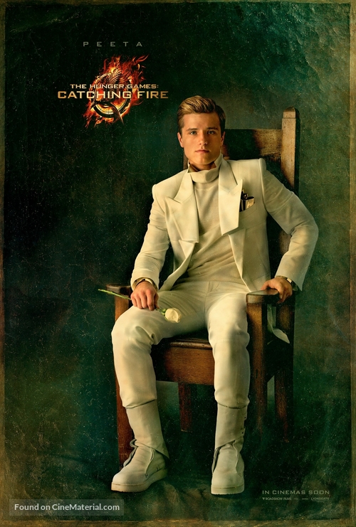 The Hunger Games: Catching Fire - Movie Poster