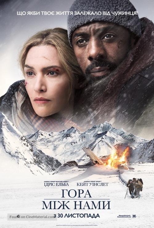 The Mountain Between Us - Ukrainian Movie Poster