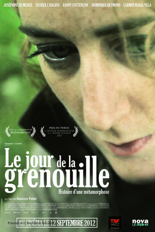 Le jour de la grenouille - French Movie Poster