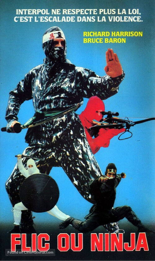 Ninja Champion - French Movie Cover