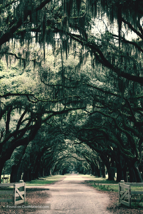 &quot;Southern Gothic&quot; - Key art