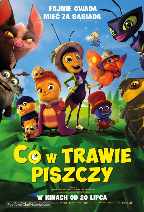 Dr&ocirc;les de petites b&ecirc;tes - Polish Movie Poster