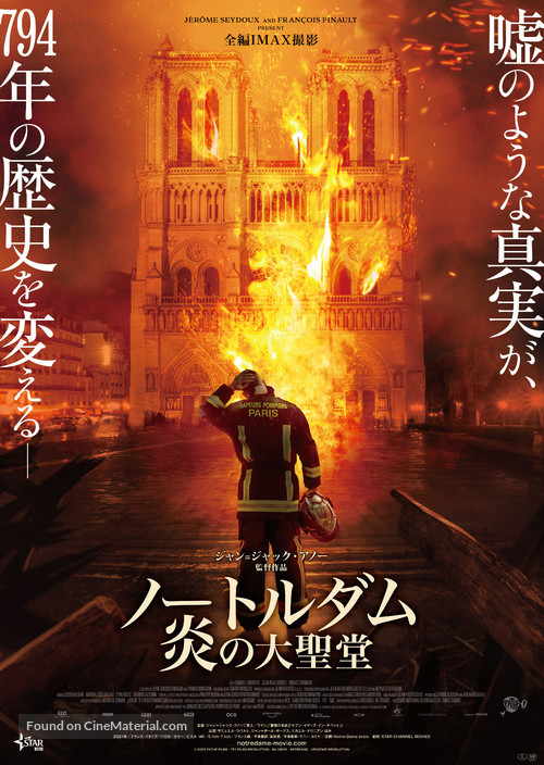 Notre-Dame br&ucirc;le - Japanese Movie Poster