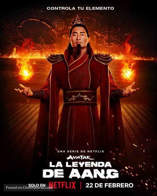 &quot;Avatar: The Last Airbender&quot; - Argentinian Movie Poster