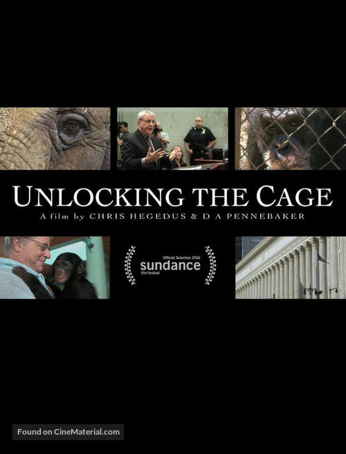 Unlocking the Cage - DVD movie cover