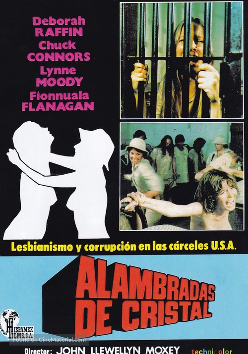 Nightmare in Badham County - Spanish Movie Poster