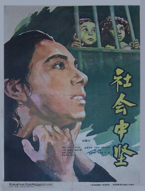 Salt of the Earth - Chinese Movie Poster