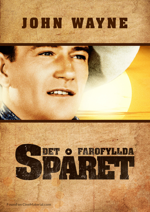 Paradise Canyon - Swedish Movie Poster
