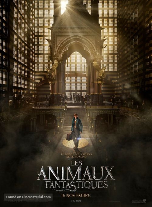 Fantastic Beasts and Where to Find Them - French Movie Poster