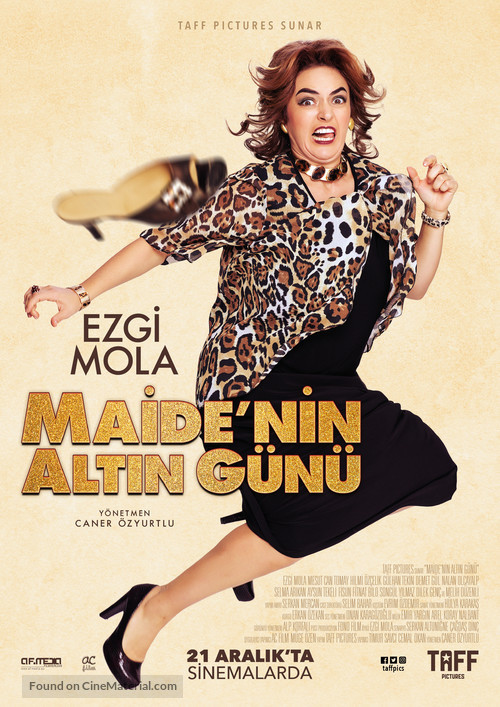 Maide&#039;nin Altin G&uuml;n&uuml; - German Movie Poster