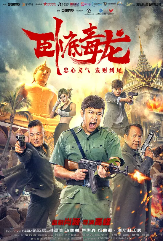 Operation Undercover 2: Poisonous Dragon - Chinese Movie Poster