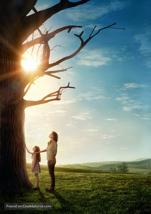 Miracles from Heaven - Key art
