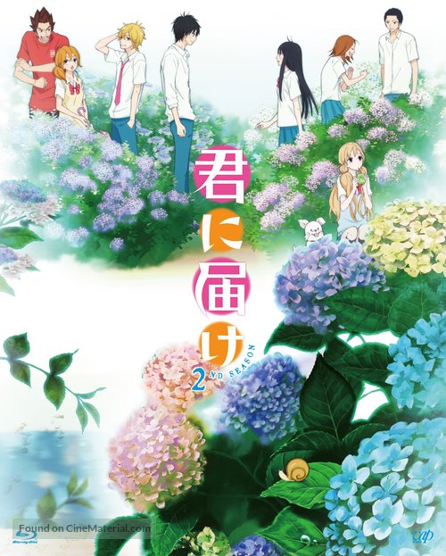 &quot;Kimi ni todoke&quot; - Japanese Blu-Ray movie cover