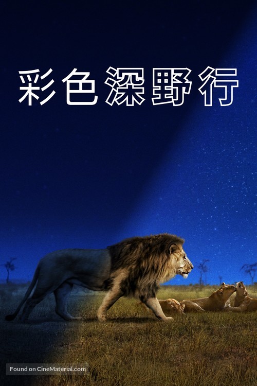 &quot;Earth at Night in Color&quot; - Taiwanese Movie Cover