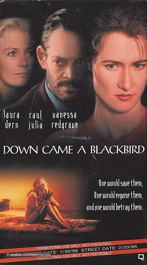 Down Came a Blackbird - VHS movie cover