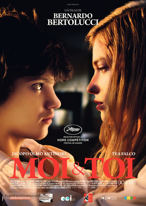 Io e te - French Movie Poster