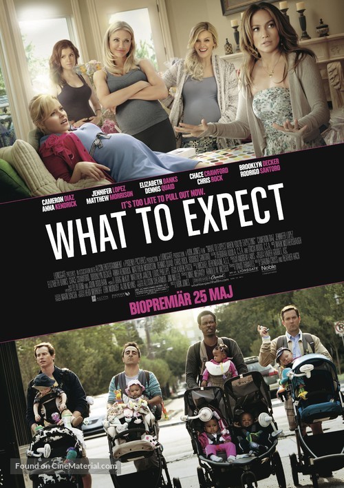 What to Expect When You&#039;re Expecting - Swedish Movie Poster
