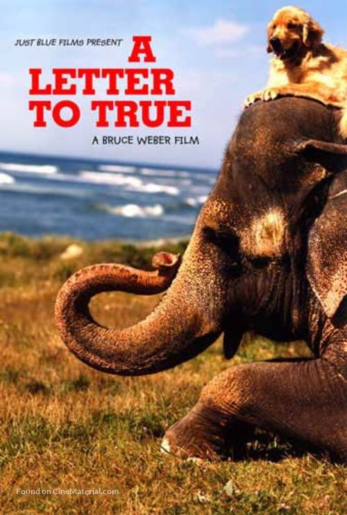 A Letter to True - DVD movie cover