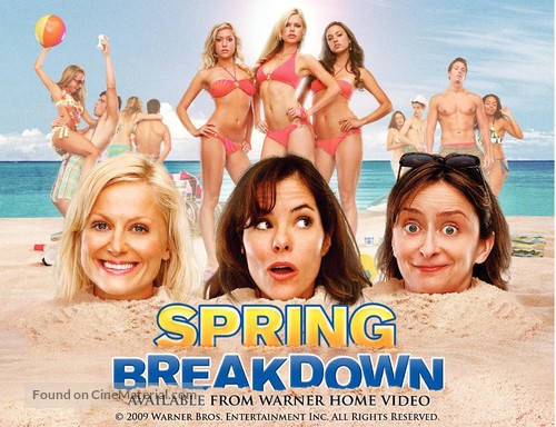 Spring Breakdown - Video release movie poster