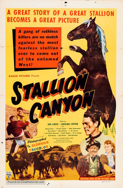 Stallion Canyon - Movie Poster