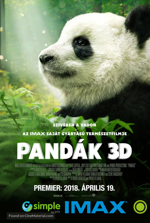 Pandas - Hungarian Movie Poster