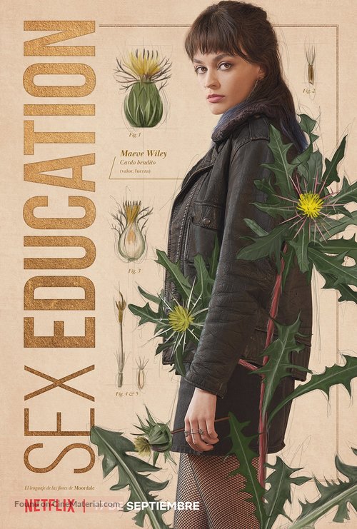 &quot;Sex Education&quot; - Spanish Movie Poster