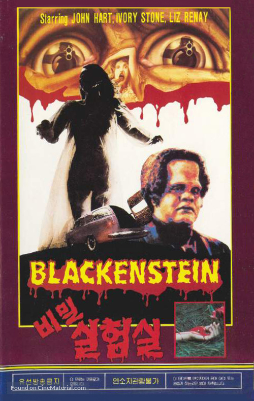 Blackenstein - Japanese Movie Cover