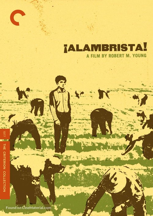 Alambrista! - DVD movie cover