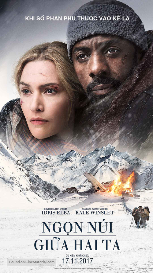 The Mountain Between Us - Vietnamese Movie Poster