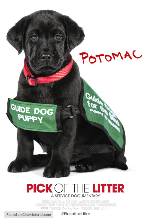 Pick of the Litter - Movie Poster