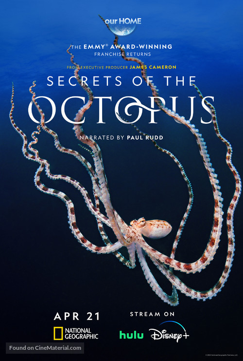 Secrets of the Octopus - Movie Poster