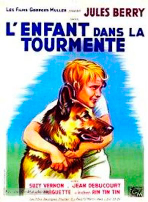 Retour au bonheur - French Movie Poster
