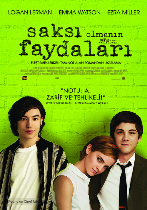 The Perks of Being a Wallflower - Turkish Movie Poster