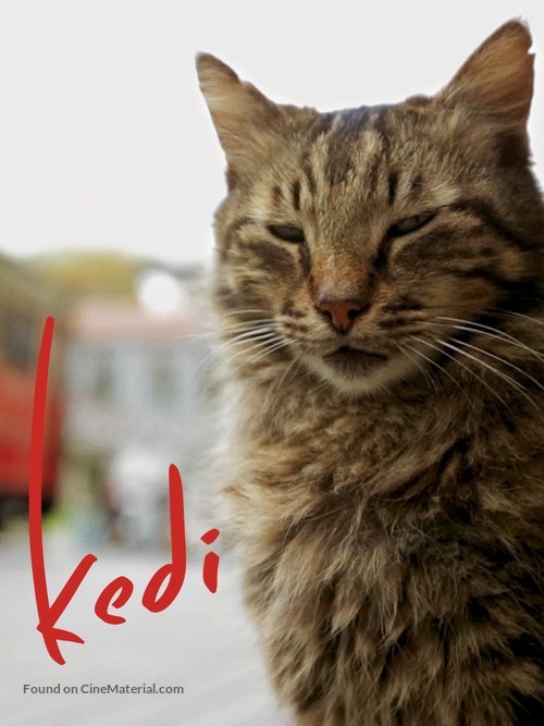 Kedi - Movie Cover