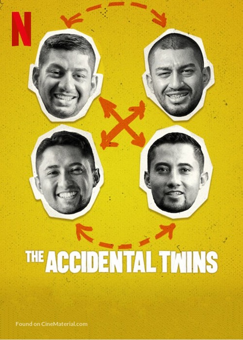 The Accidental Twins - Movie Poster