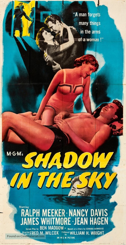 Shadow in the Sky - Movie Poster