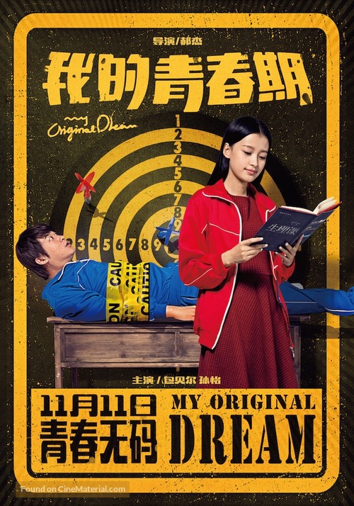 Wo de qing chun qi - Chinese Movie Poster