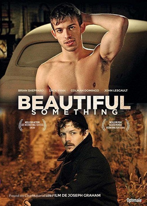 Beautiful Something - French DVD movie cover