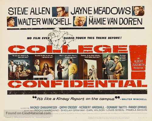 College Confidential - Movie Poster