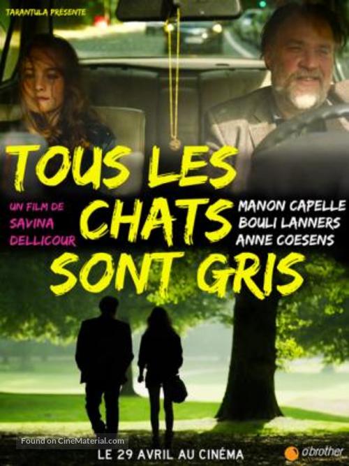 Tous les chats sont gris - Belgian Movie Poster