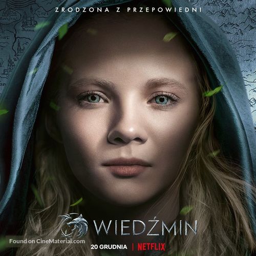 &quot;The Witcher&quot; - Polish Movie Poster